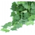 Roślina do terrarium HP BLUSZCZ hedera XL 70cm